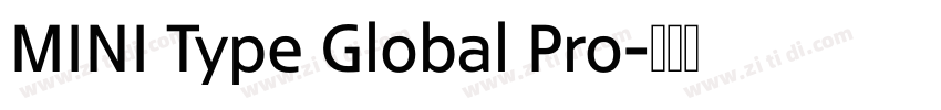 MINI Type Global Pro字体转换